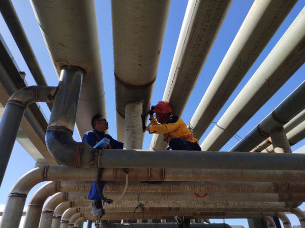 從寒冬到初秋,青海現場的同事們、你們辛苦了